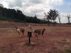 -东伊顺(高银街店)