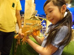 -清迈夜间动物园