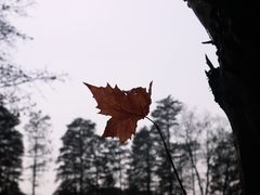 -东湖生态旅游风景区