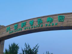 -北京野生动物园
