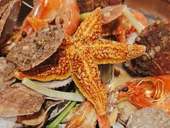 -悦海·家宴·冰花皮皮虾大锅贴(宝龙店)