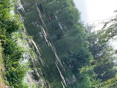 -马家湾湿地公园