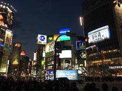 -涩谷区