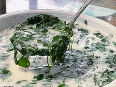 -晓雯人家