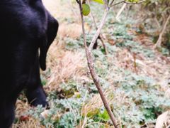 -白鹭湾湿地公园