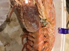 -盒马鲜生(曜一城店)