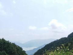 -梧桐山风景名胜区