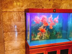 -新碧水留香新桑拿