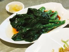 蚝油芥兰-海联潮港城