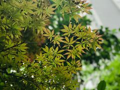 -白鹭湾湿地公园