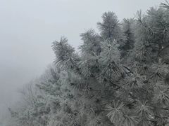 -妙峰山风景名胜区
