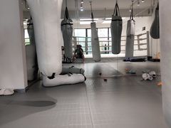 -EFL巴西柔术·综合格斗·泰拳·少儿体能训练(虹桥德必馆)