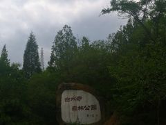 -白水寺森林公园