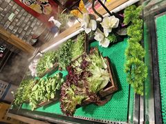 -红运火锅·中国名火锅·国风演绎(省体店)