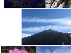 -富士山吉田線五合目