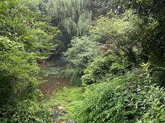 -杭州半山国家森林公园