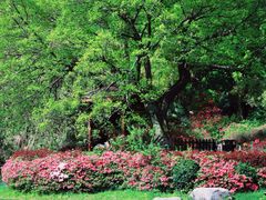 -东湖磨山景区