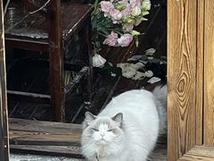 -小魚花店