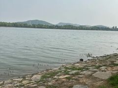 -羊山湖公园