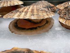 -百富源·海鲜辽菜(和平北大街店)