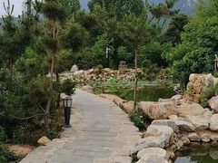 -中原农家乐(中原饭店)