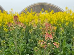 -中国天府农业博览园