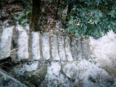 -金子山原生态旅游风景区