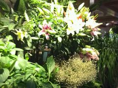 -春暖花开(西溪店)