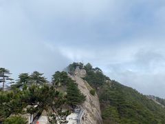 -九华山聚龙大酒店