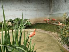 -成都动物园