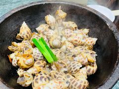 盐焗花螺/斤-猪肉婆私房菜(容桂总店)