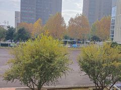 -安徽大学(龙河校区)