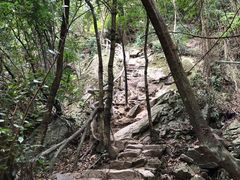 -梧桐山风景名胜区