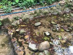 -火炉山森林公园
