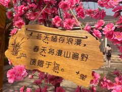 -北京凤凰岭