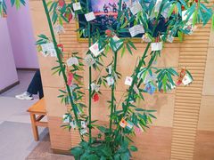 -好莱坞音乐进修学校(瑞平路校区)