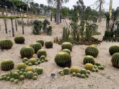 -东莞植物园