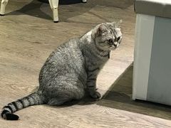 -小时光咖啡馆(开森度假森林店)