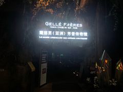 -花之城