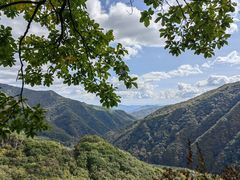 -五女峰国家森林公园