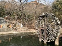 -石老人观光园