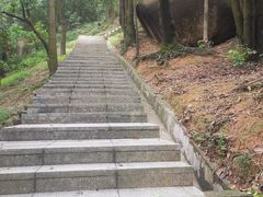 -火炉山森林公园