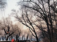 -长春市南湖公园