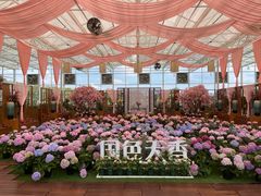 -盈香心动乐园