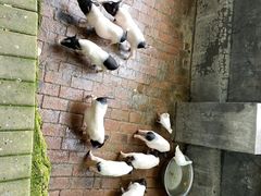 -开元溶洞