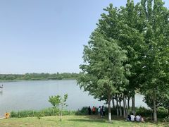 -西安浐灞国家湿地公园