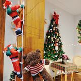 北京5G过圣诞了