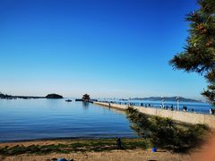 -青岛海滨风景区
