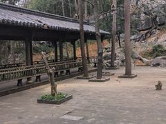 -千岛湖东南湖区