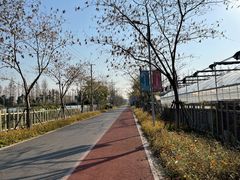 -上海长兴岛郊野公园